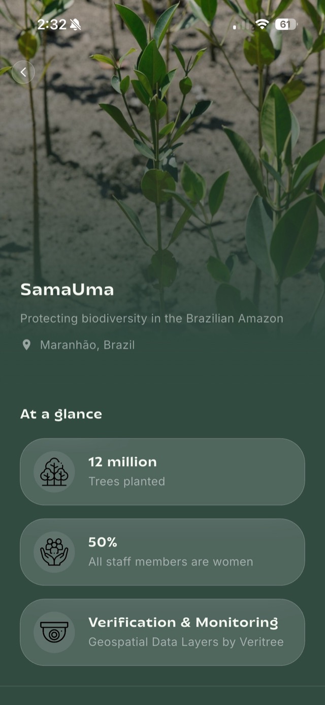 Grove reforestation project list